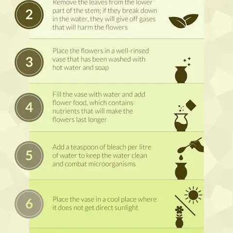 Make-your-fresh-flowers-last-longer Flora Queen