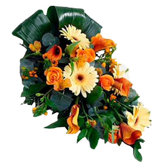 Sunset of Life Flora Queen