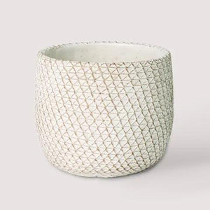 Rotterdam Flora Queen