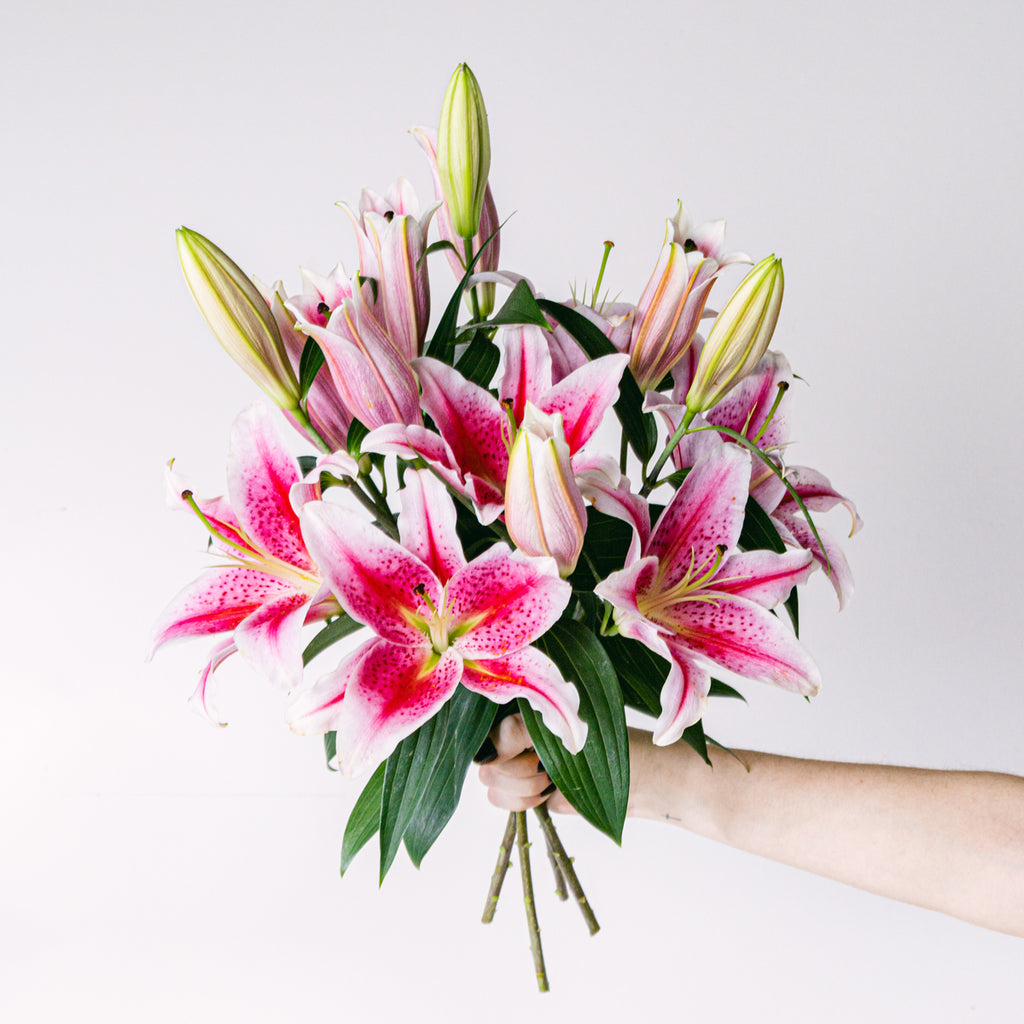 Better Together Flora Queen