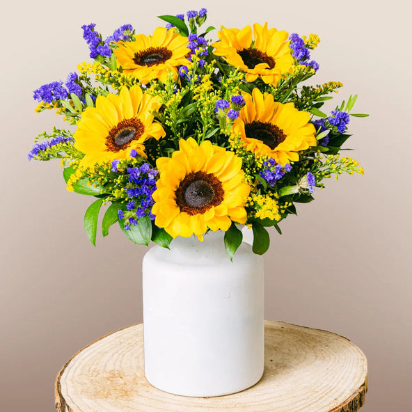 Sunshine boost Flora Queen Flora Queen
