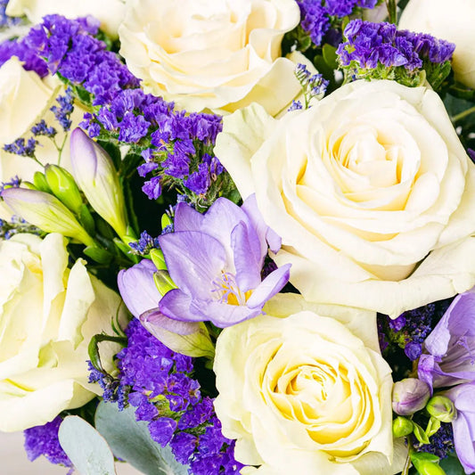 Elegant Beauty Flora Queen Flora Queen