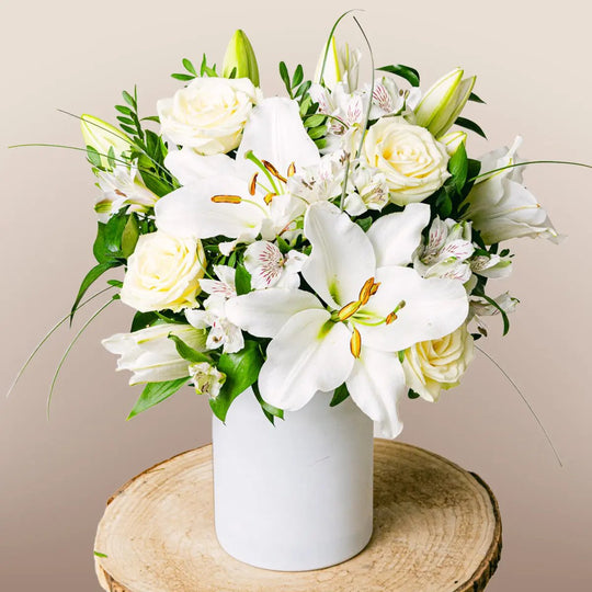 Aurore Flora Queen