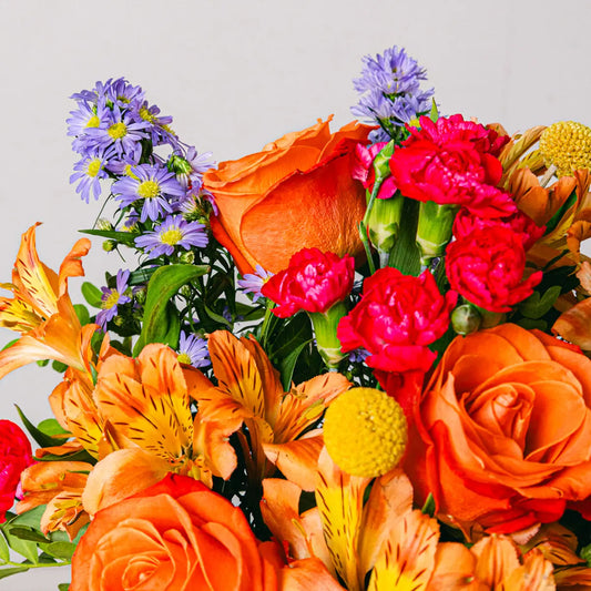 Bright Starts Flora Queen Flora Queen