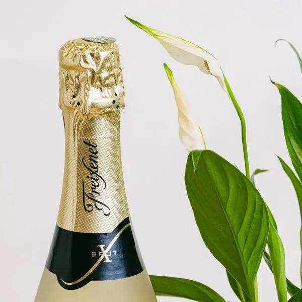 Celebrate Life Flora Queen Flora Queen