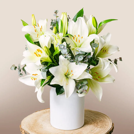 Bright Beginnings Flora Queen Flora Queen