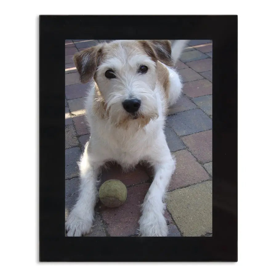 7a786e579ea222786f9cda00ed35f51c