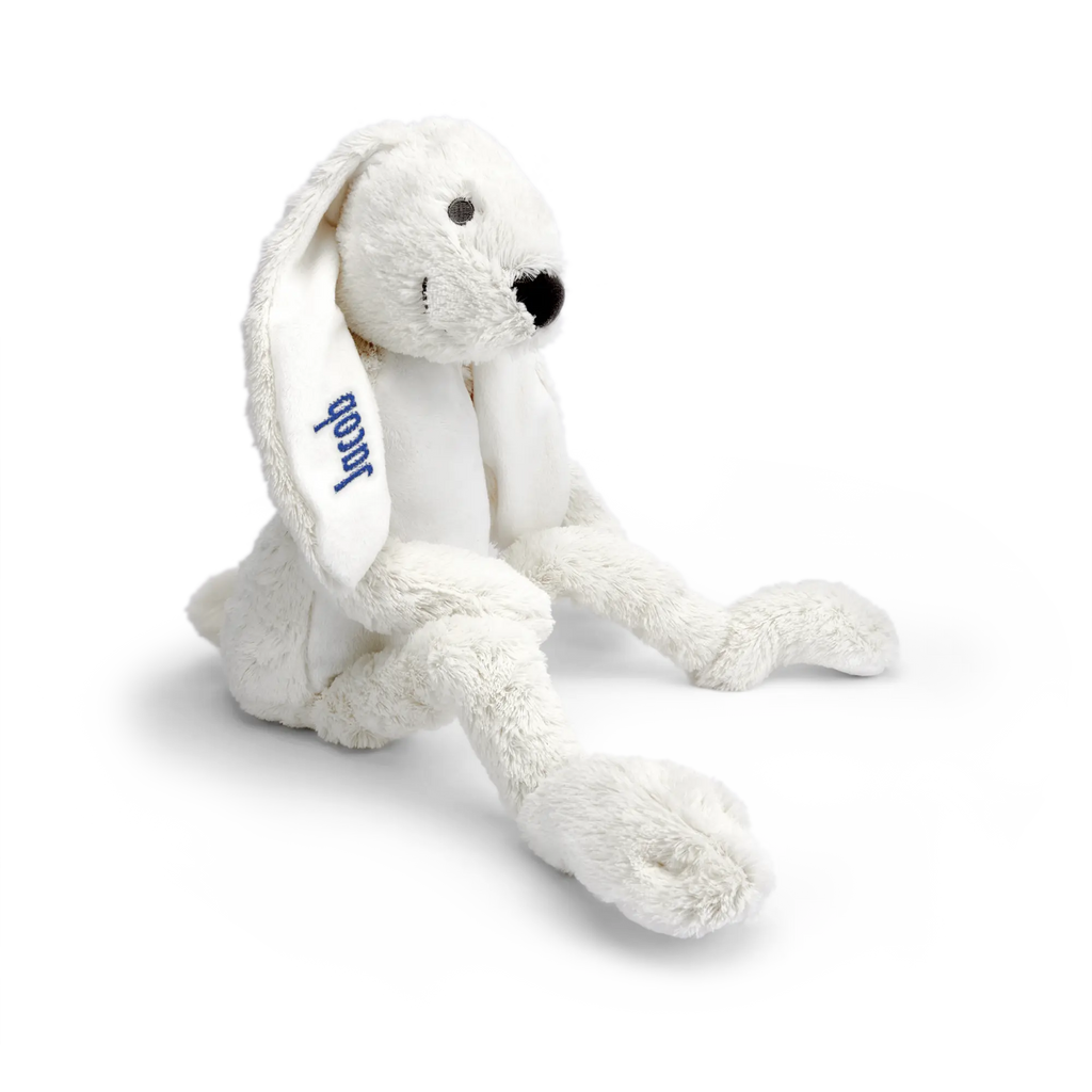 e5c65d033ca2563f8133aa8f2a688816